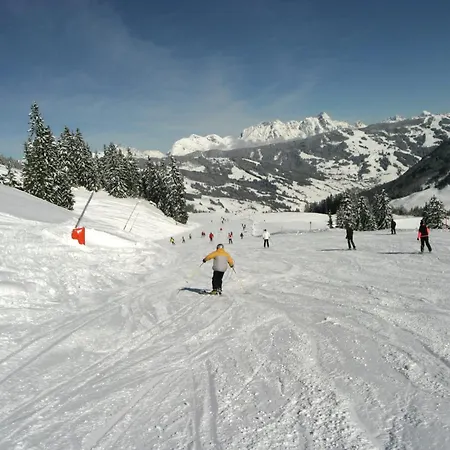 Modern Near Saalbach Hinterglemm * Viehhofen